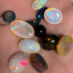 Opals Your Choice 