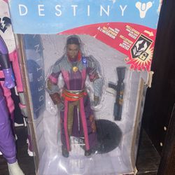 Destiny Figure 