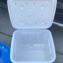 Igloo Cooler