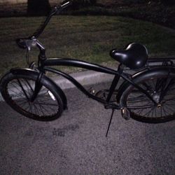 greenline beach cruiser