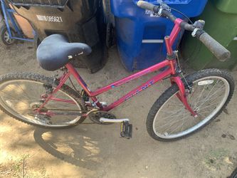 Attraction giant bicycle threat condition. Has been in storage