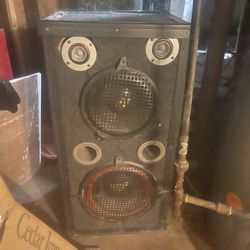 Super Pro Box Speaker 