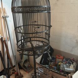 Bird Cage