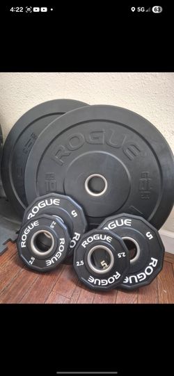 Rogue bumper weights set 💪