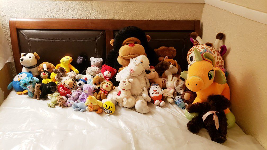 40 stuffed/plush animals & much more!