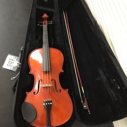 Viola