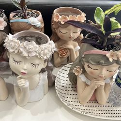 Fairy Pot