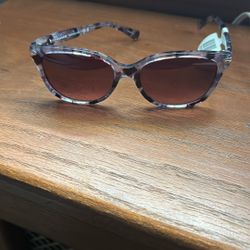 Coach Sunglasses 