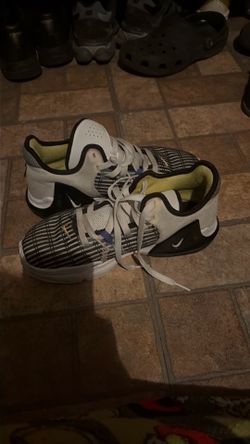 LeBron James basketball shoes