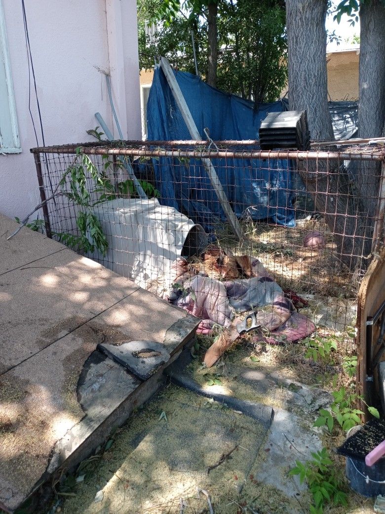 Dog House With Cage