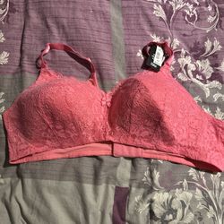 Pink Lace Torrid Bra 44B