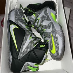 Lebron 2025 12 dunkman