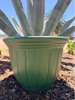 Large Fluted Pot Planter