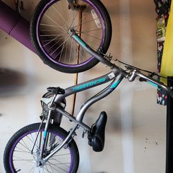 20 inch girls Scwhinn Bike