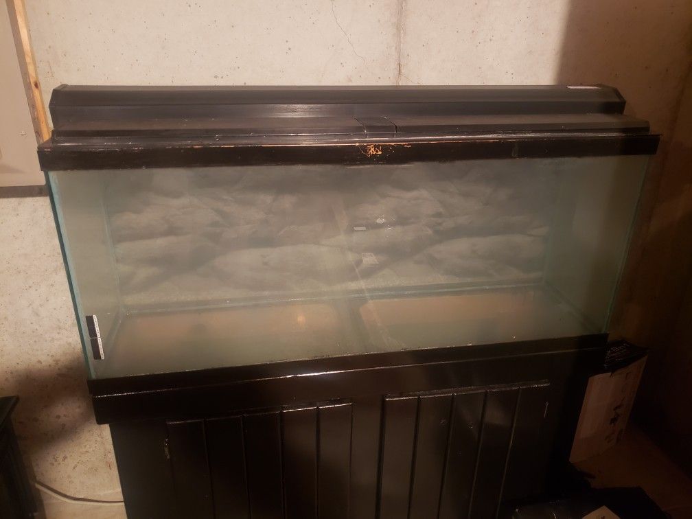 55 gallon fish tanks