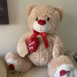 Teddy Bear 