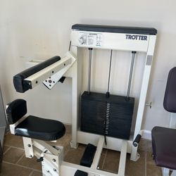 Trotter Galileo Seated abdominal Crunch 