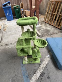 Cat play house