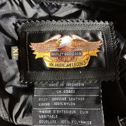 Harley Davidson Men’s Chaps