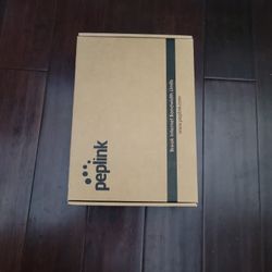 Peplink Balance 20X