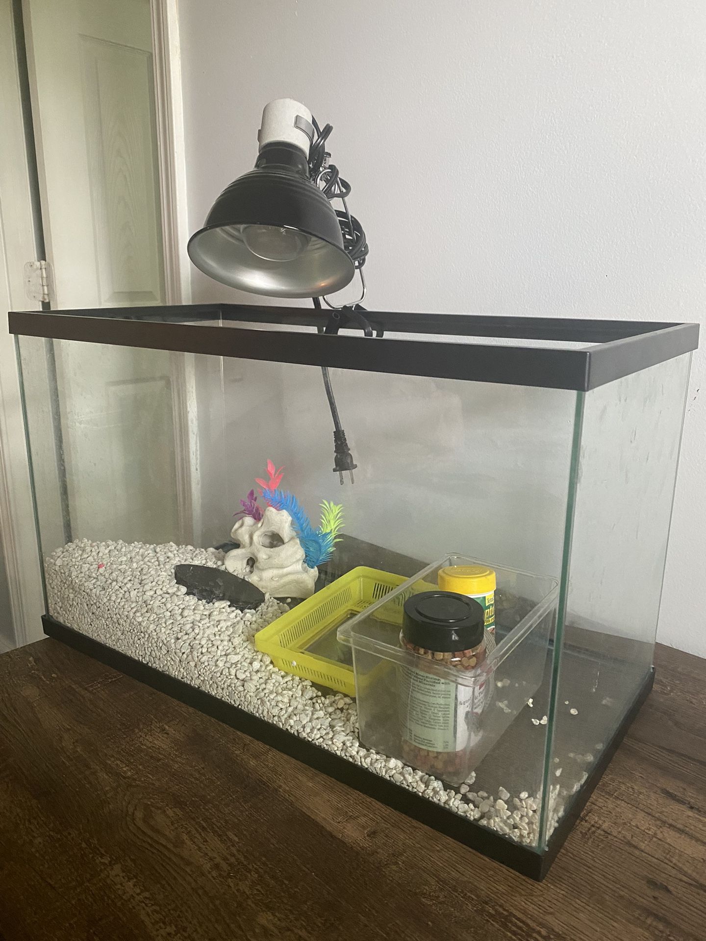 Aquatic Turtle Needs (Heating Lamp Included)