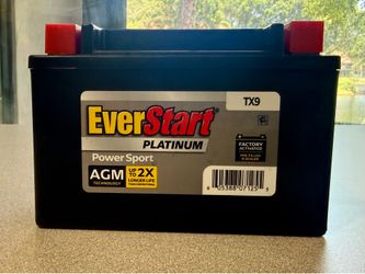 NEW EverStart Platinum AGM TX9 12V PowerSport Battery 120 CCA Sealed Maintenance-Free