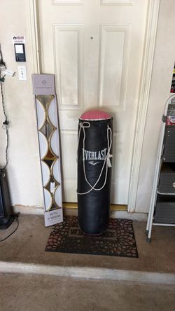 🥊 Everlast Heavy Bag