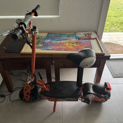 Eco Electric Scooter 