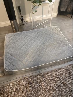 Large Dog Bed