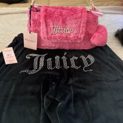 Juicy Couture Dog Bag for Sale in Buffalo, NY - OfferUp