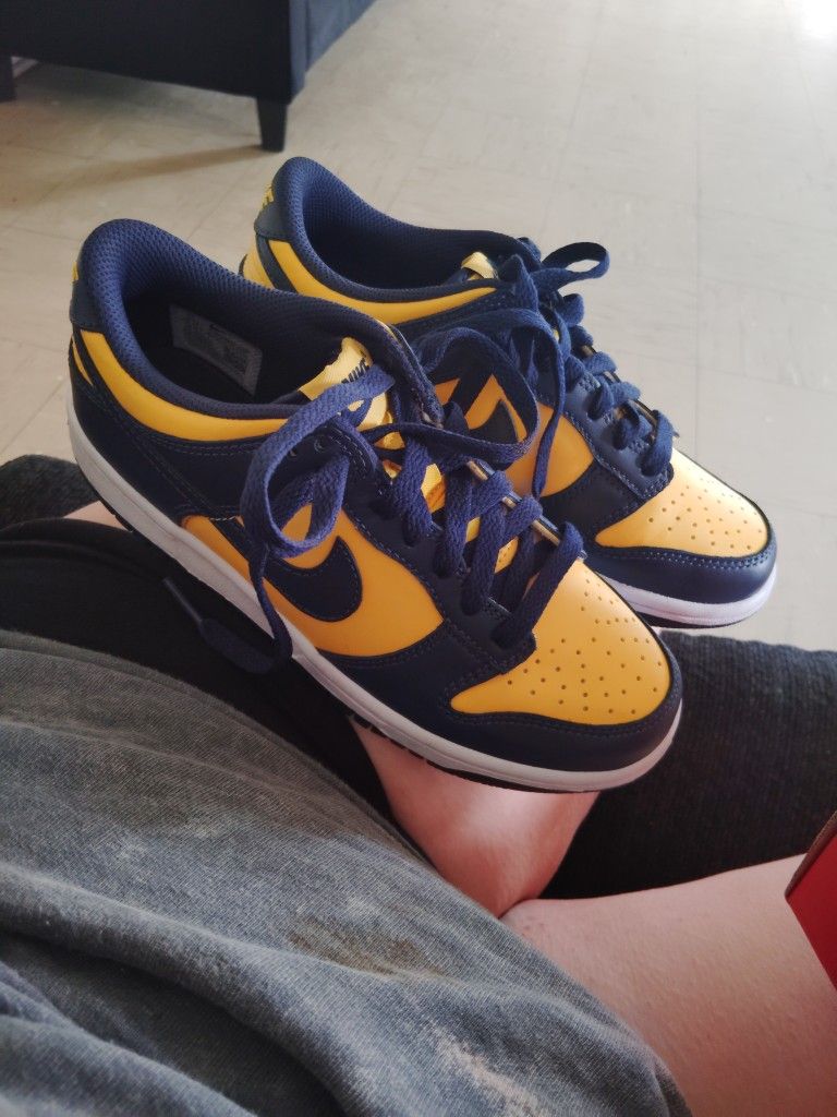 Nike Dunks Size 4y