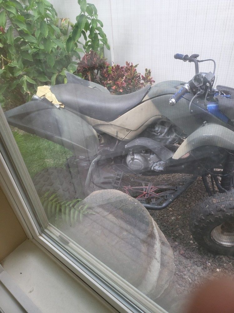 2013 Yamaha Rapter 700r