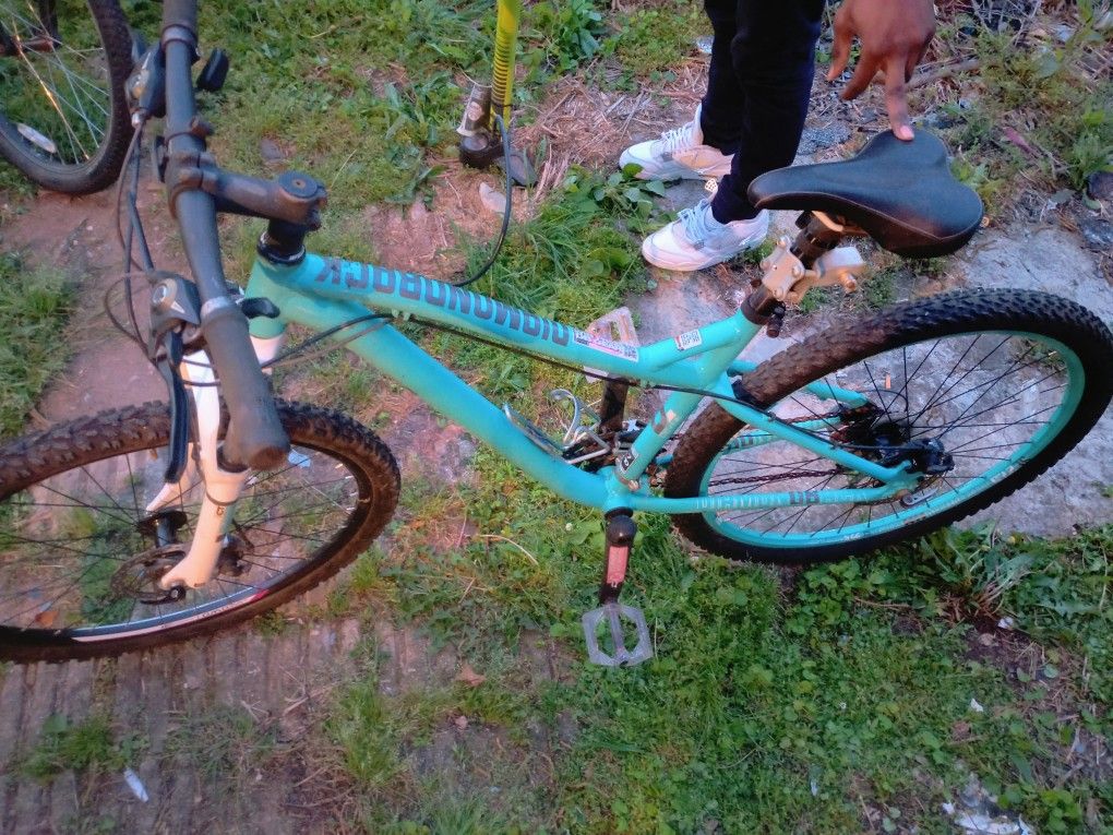 Diamond Back Mountain Bike