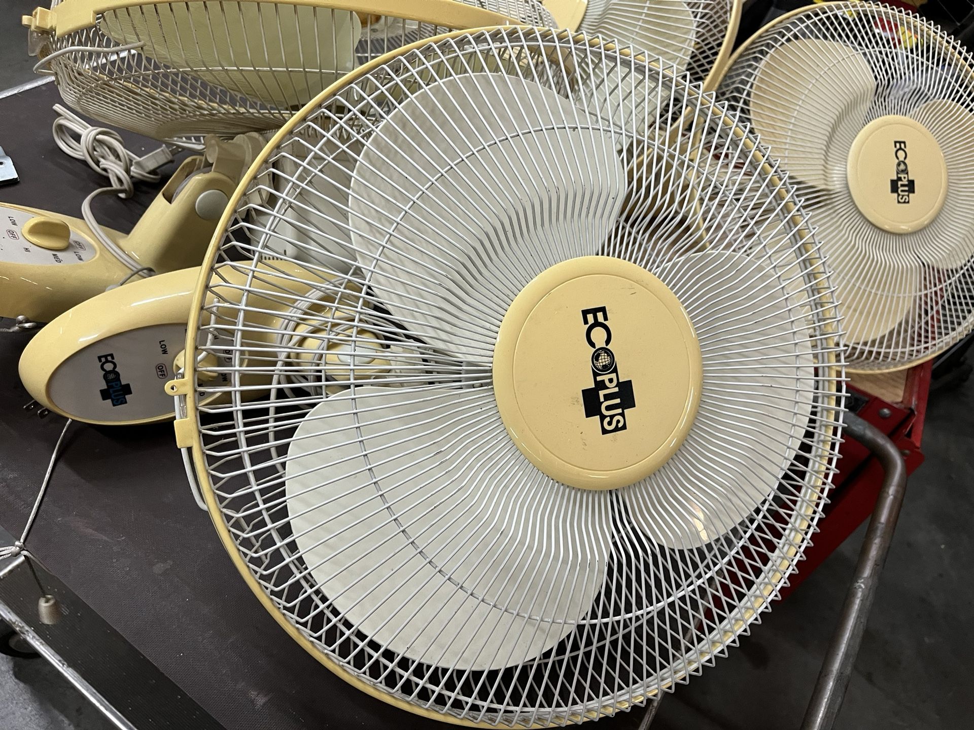 Oscillating Wall Fans