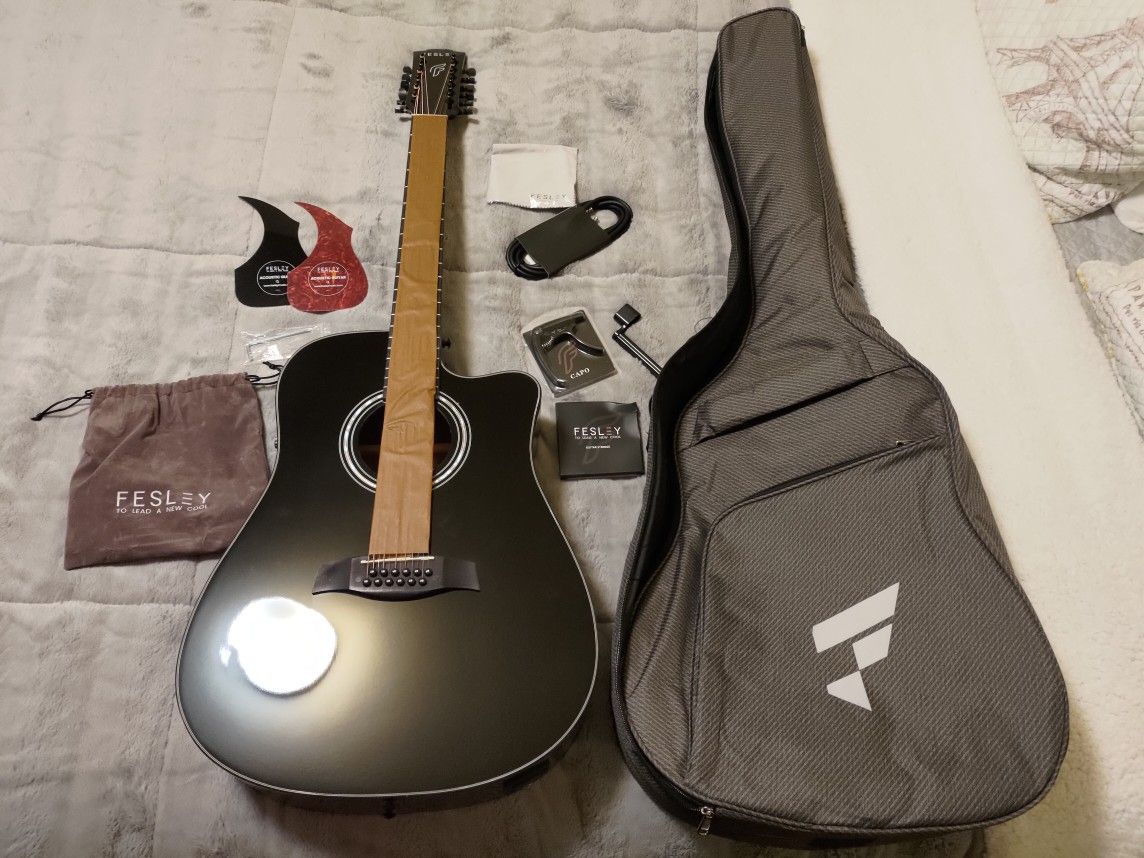 Fesley 12 String Acoustic Guitar