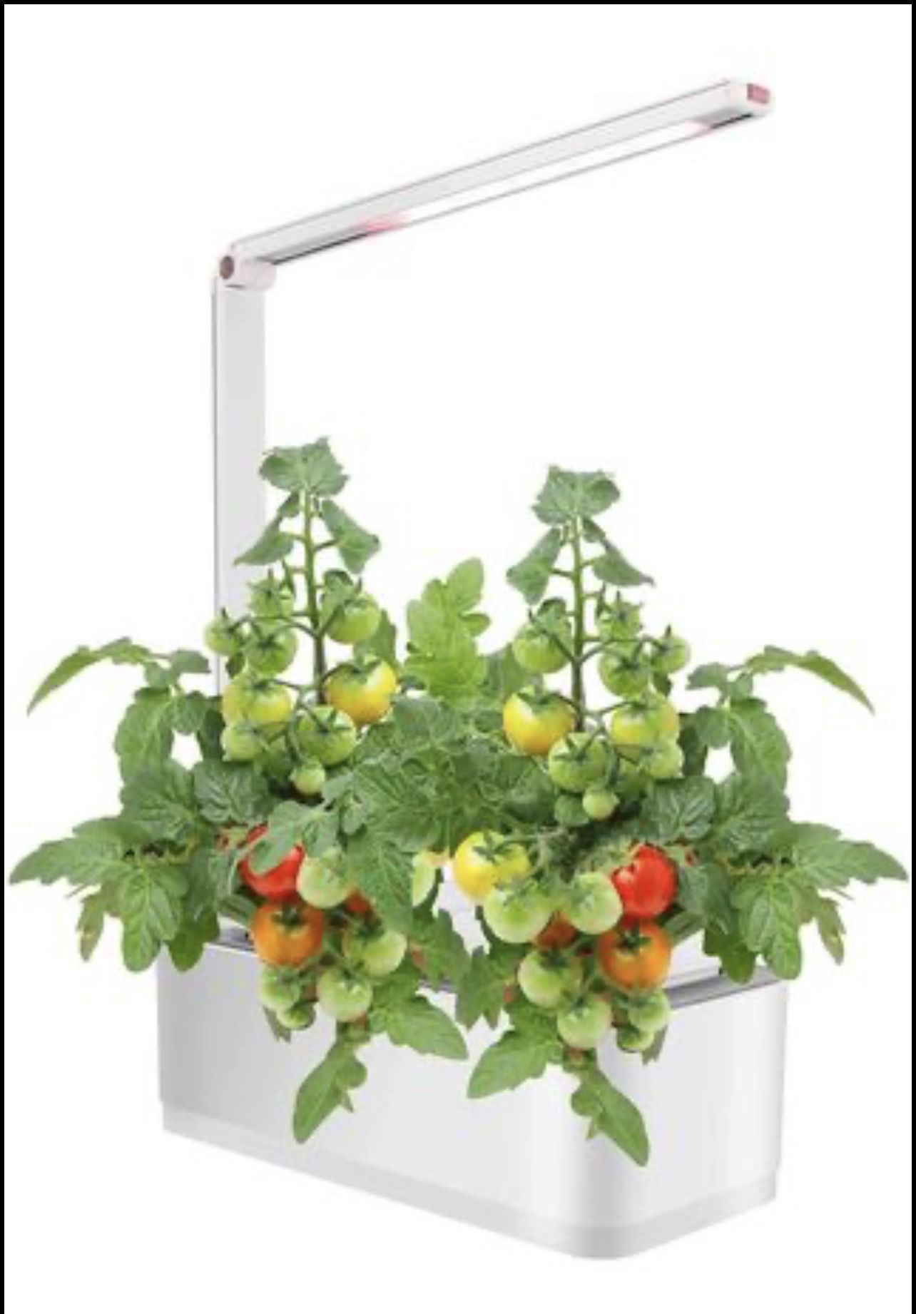 Hydroponic Indoor Plant Growing System