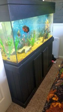 60 gallon.....everything included + extras
