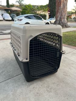 Large Dog Kennel