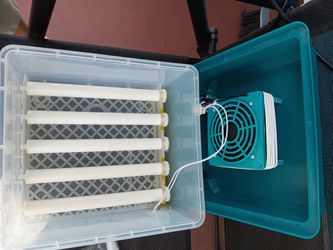 Egg incubator