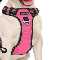 Tobe RI Dog No-Pull Safety Harness Size L Pink