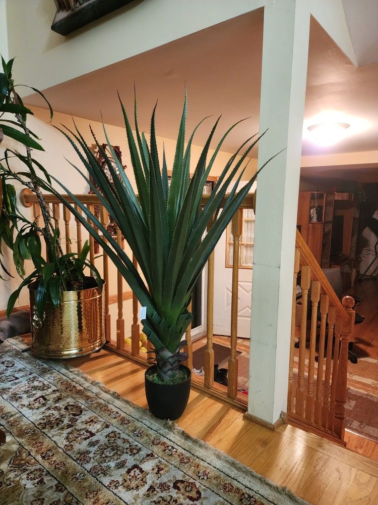 Faux Cactus Plant 