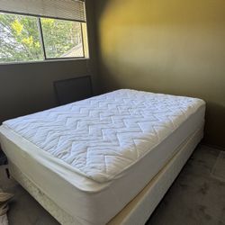 Hardly Used Queen Mattress & Box Spring 