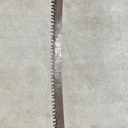 Antique Tree Saw - 5 Feet 