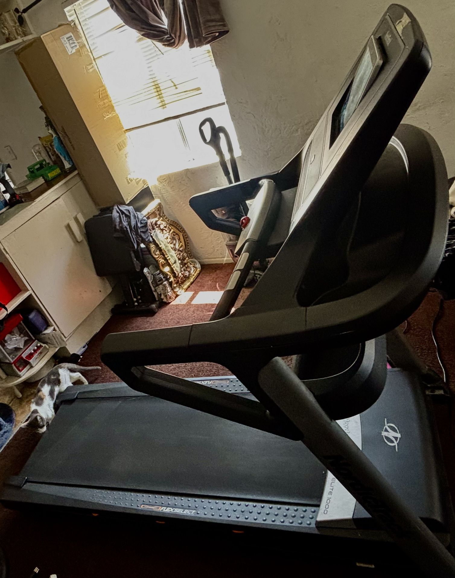 Treadmill NordicTrack