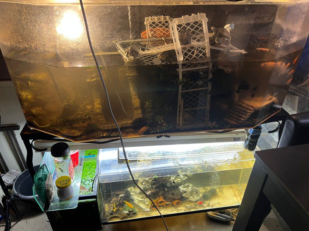 Acrylic Fishtank Aquariums 