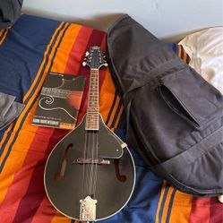 Rogue Mandolin
