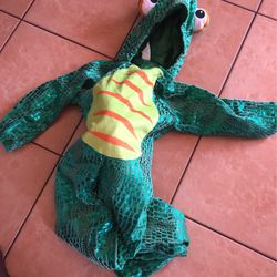 Disfraz Camaleón 4T/5T Halloween