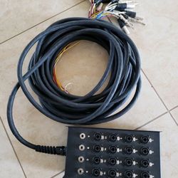 Snake Cables Live Wire 16X4 - 50 ft. 