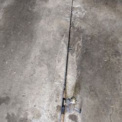 Rod And Reel Fishing Pole
