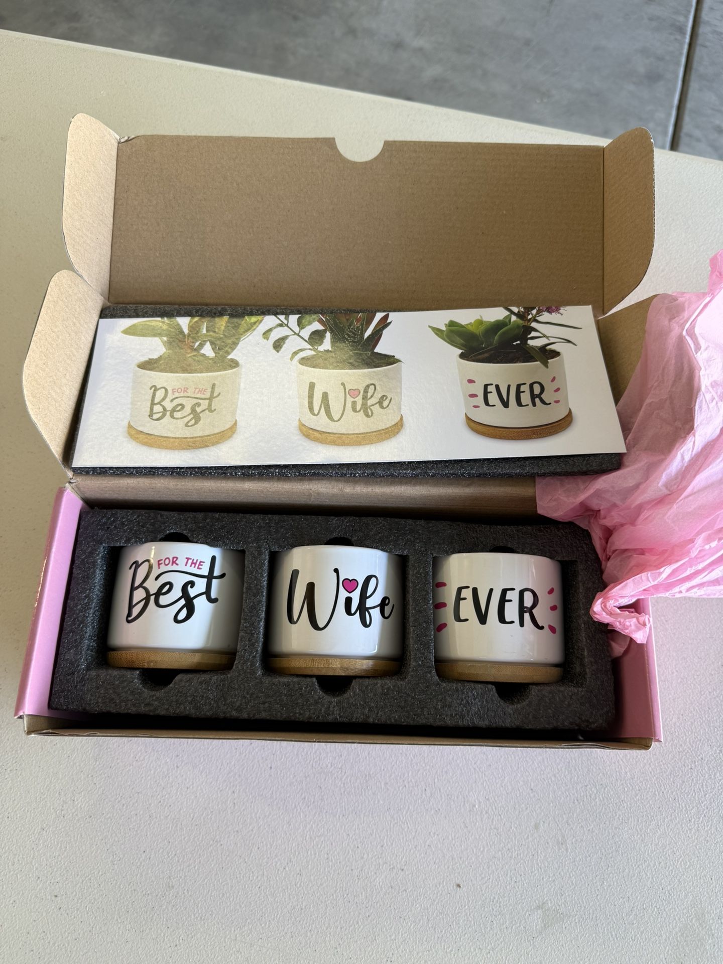 Flower Pots For Wife $12obo